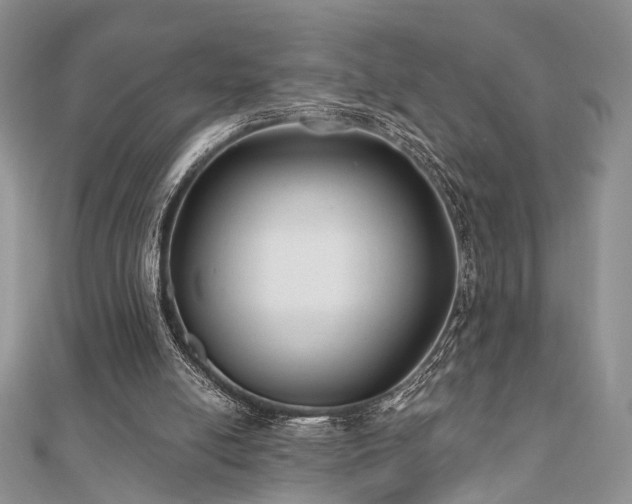 X0000110920054200906181417