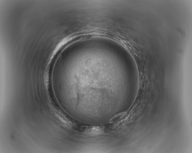 X0000110920056200906181417