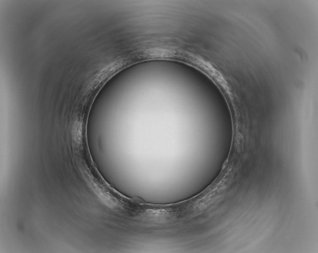 X0000110920057200906181417
