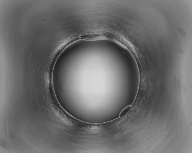 X0000110920059200906181417
