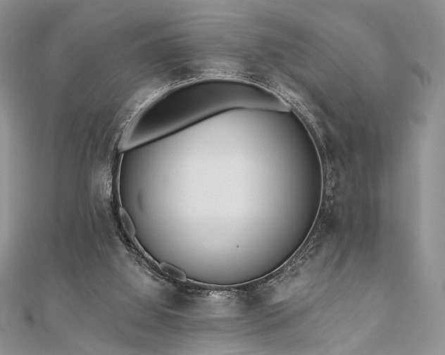 X0000110920060200906181417