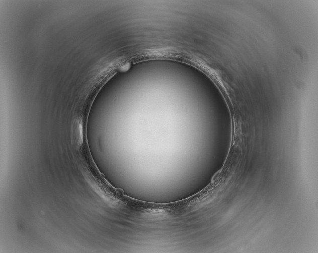 X0000110920061200906181417