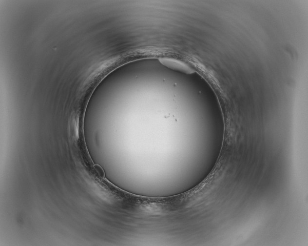X0000110920062200906181417