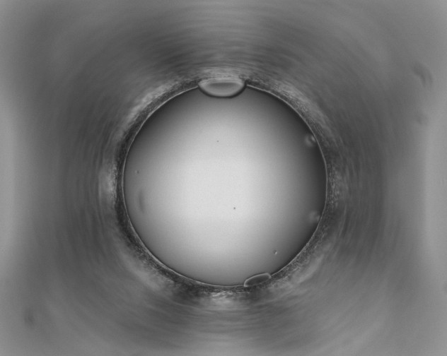 X0000110920064200906181417