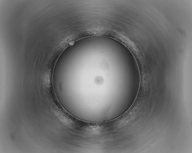 X0000110920065200906181417
