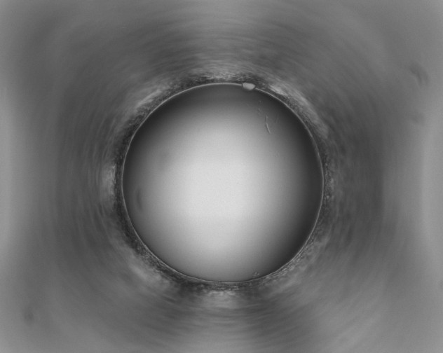 X0000110920066200906181417