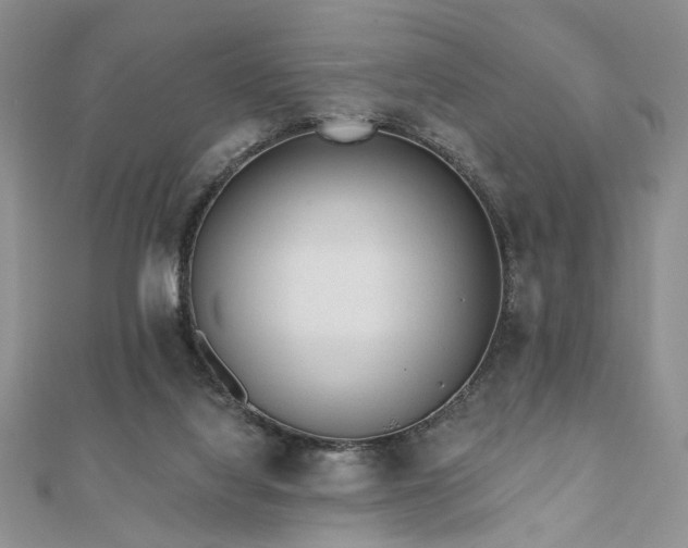X0000110920068200906181417