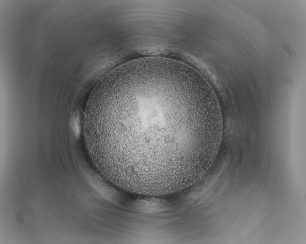 X0000110920069200906181417