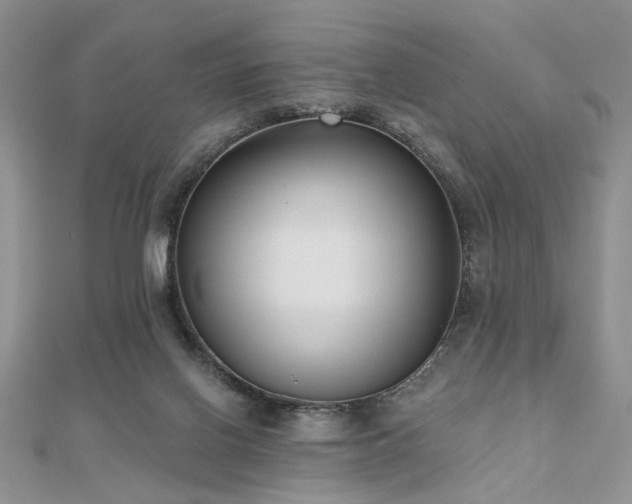 X0000110920070200906181417