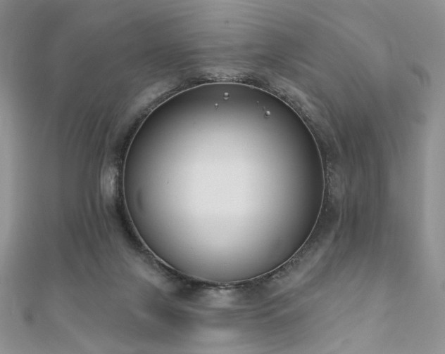 X0000110920071200906181417