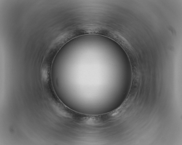 X0000110920074200906181417
