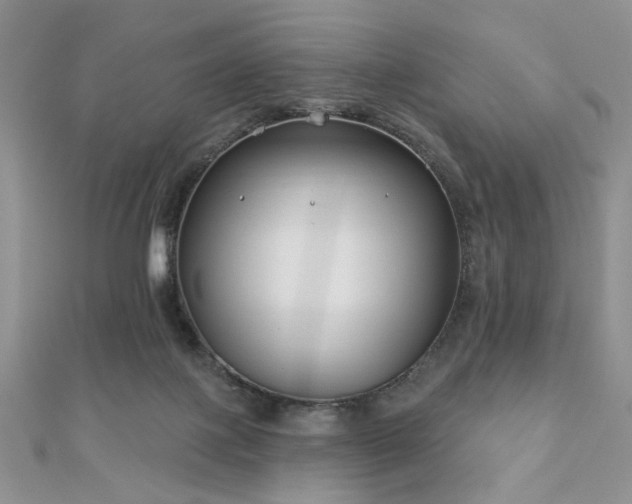 X0000110920075200906181417
