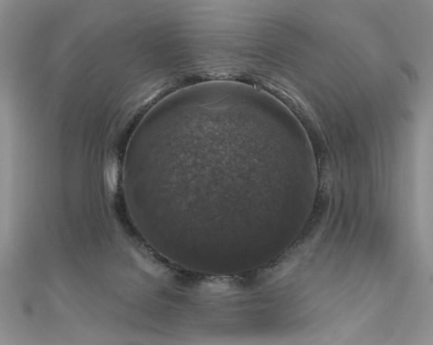 X0000110920076200906181417
