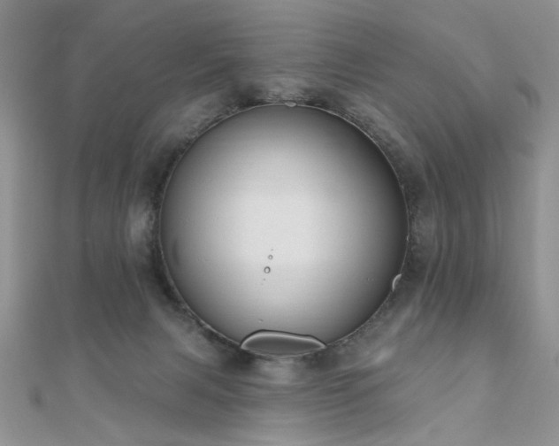 X0000110920079200906181417