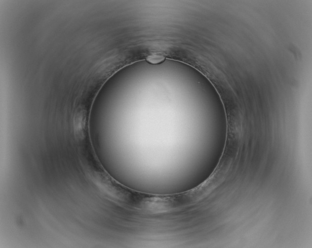 X0000110920082200906181417