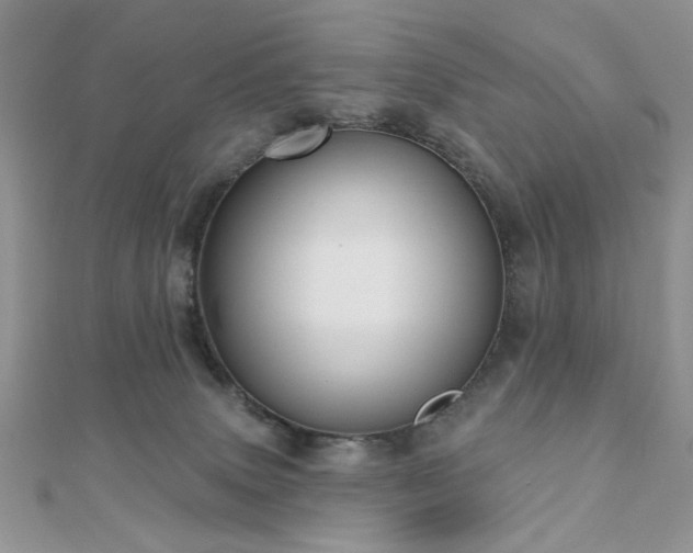 X0000110920083200906181417