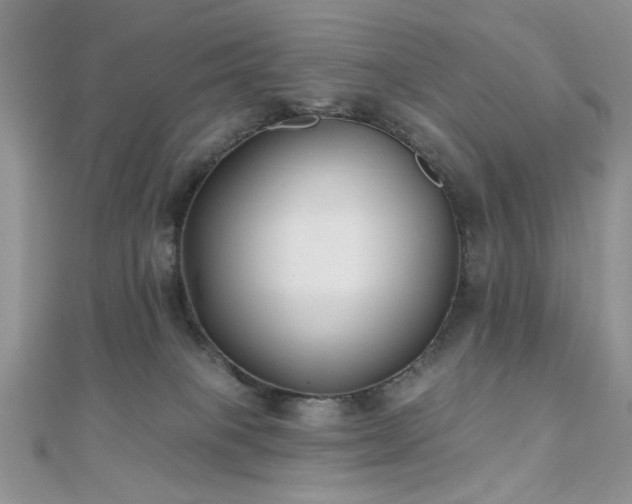 X0000110920085200906181417
