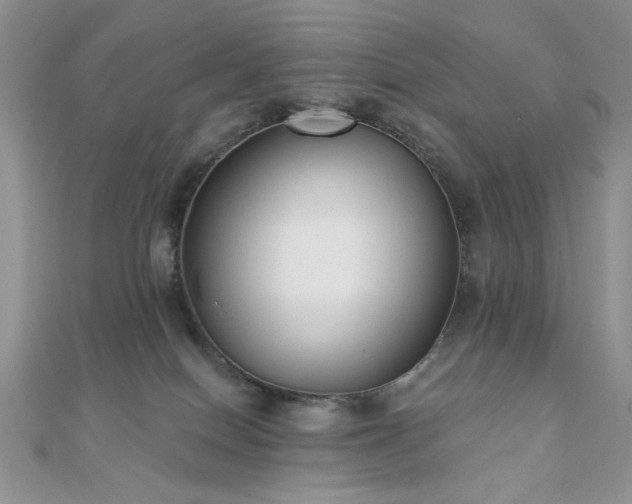 X0000110920086200906181417