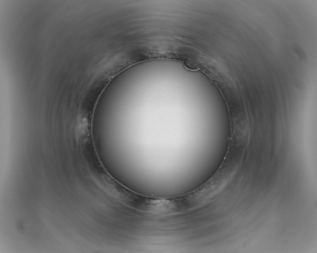 X0000110920087200906181417