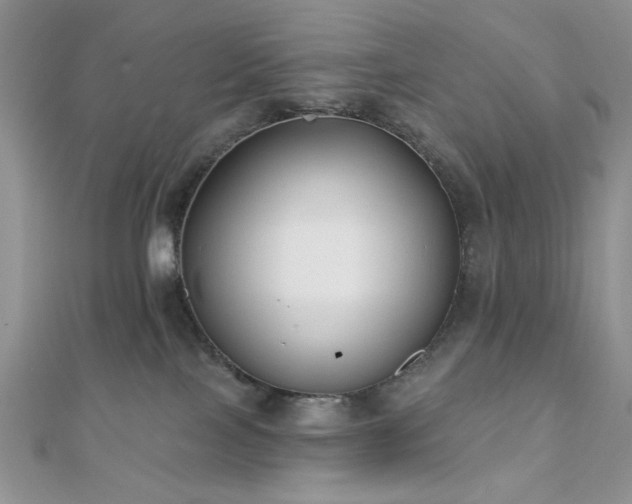 X0000110920089200906181417