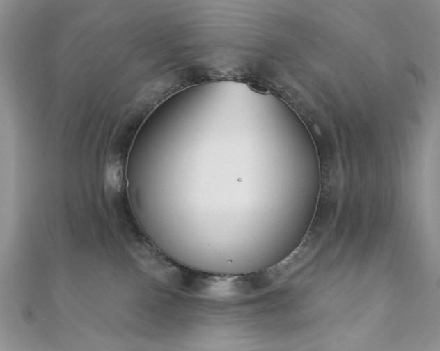 X0000110920090200906181417
