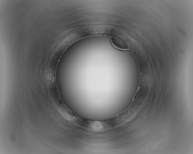 X0000110920091200906181417