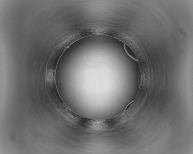 X0000110920093200906181417