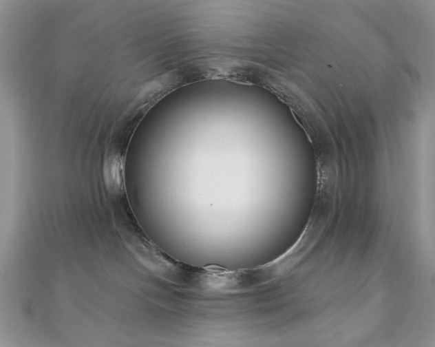 X0000110920094200906181417