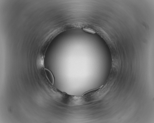 X0000110920095200906181418