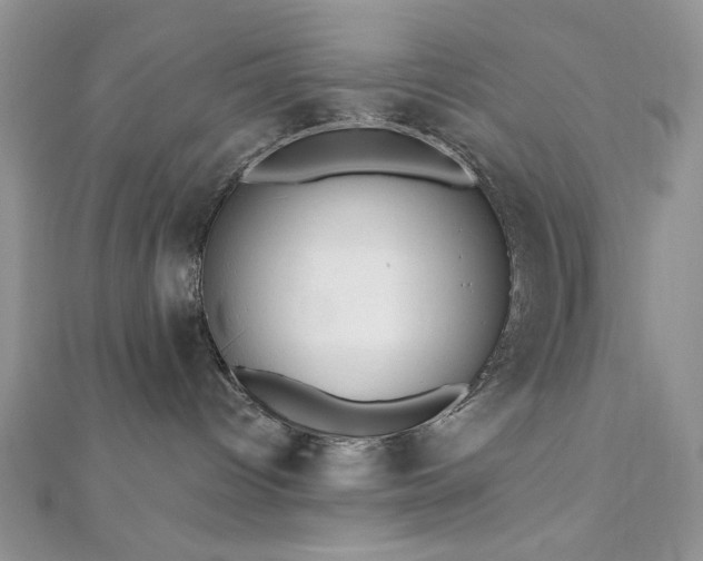 X0000110920096200906181418