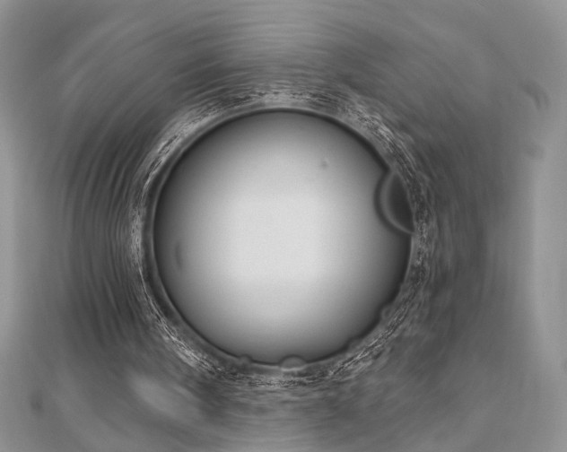 X0000110920098200906181417