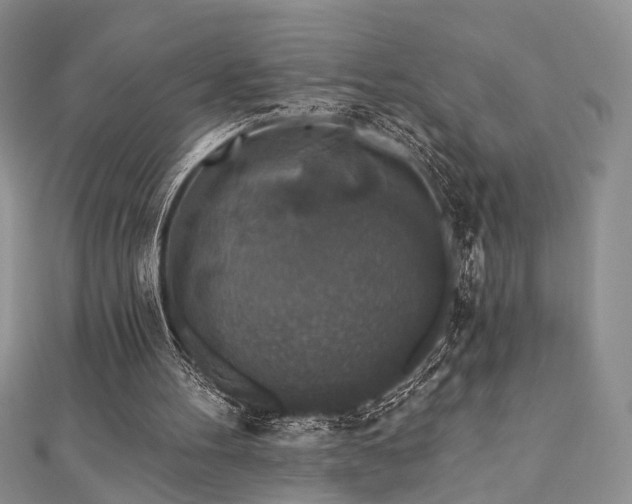 X0000110920100200906181417