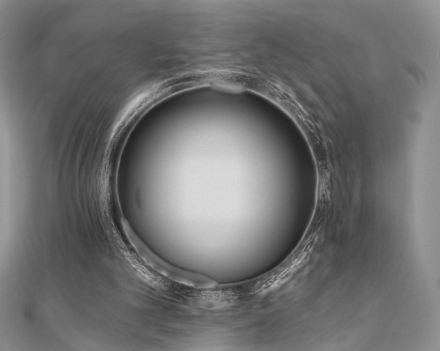 X0000110920101200906181417