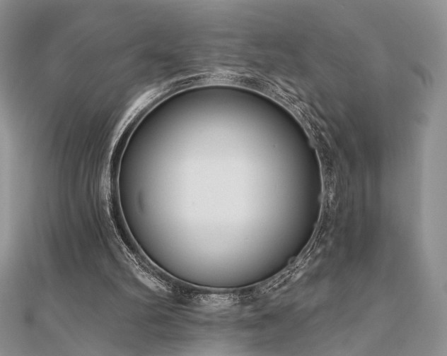 X0000110920102200906181417