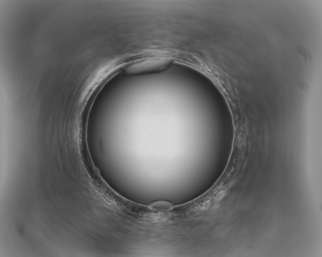 X0000110920103200906181417