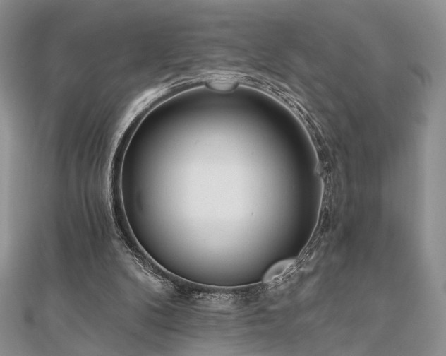 X0000110920104200906181417