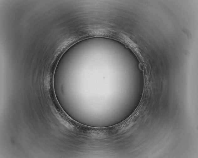X0000110920106200906181417