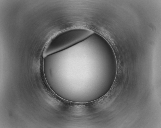 X0000110920108200906181417