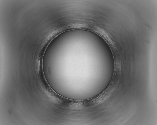 X0000110920110200906181417