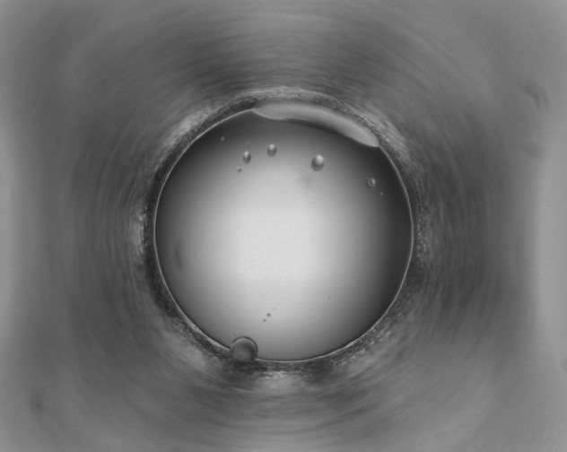 X0000110920111200906181417