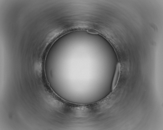 X0000110920112200906181417