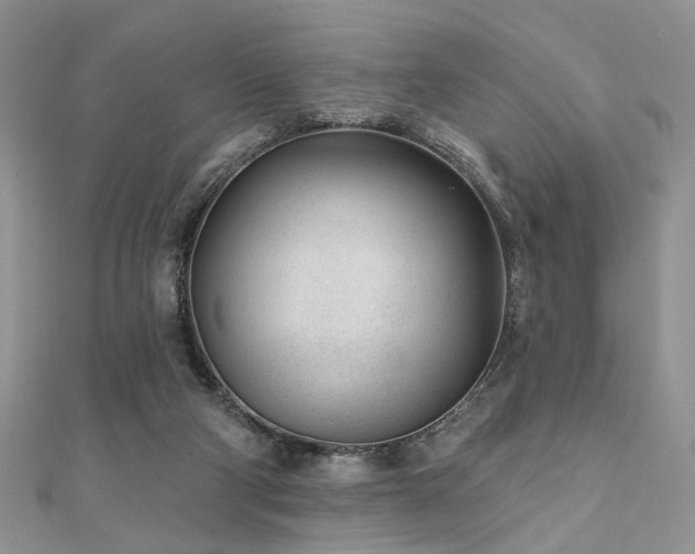 X0000110920114200906181417