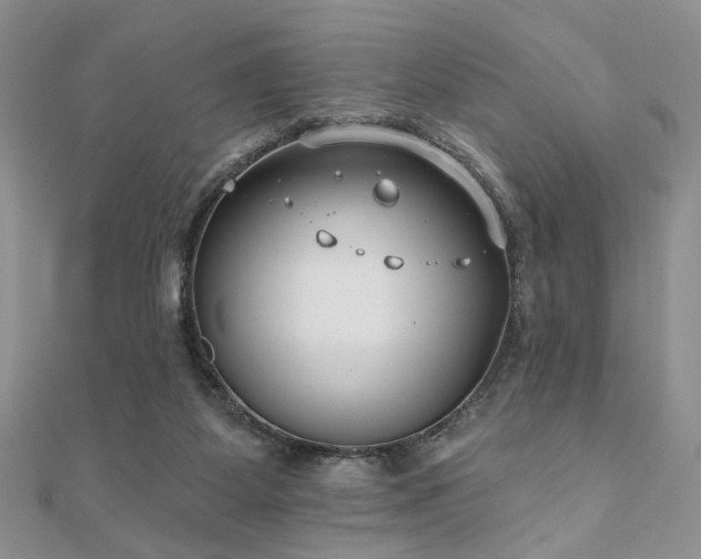 X0000110920115200906181417