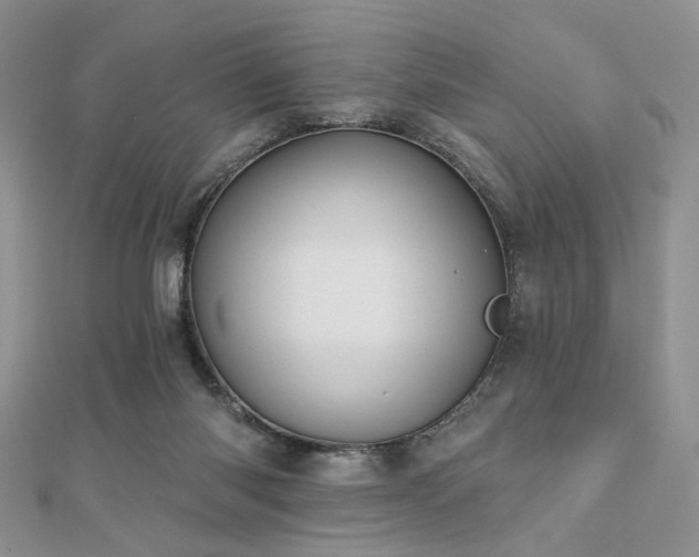 X0000110920118200906181417
