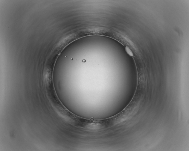 X0000110920119200906181417