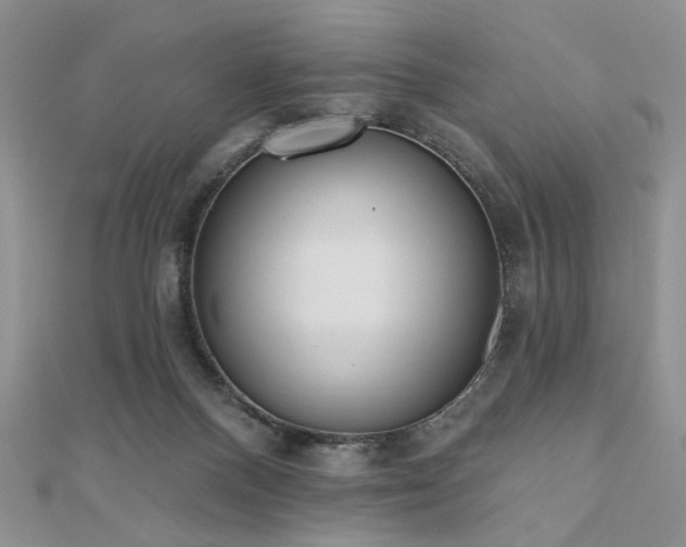 X0000110920120200906181417
