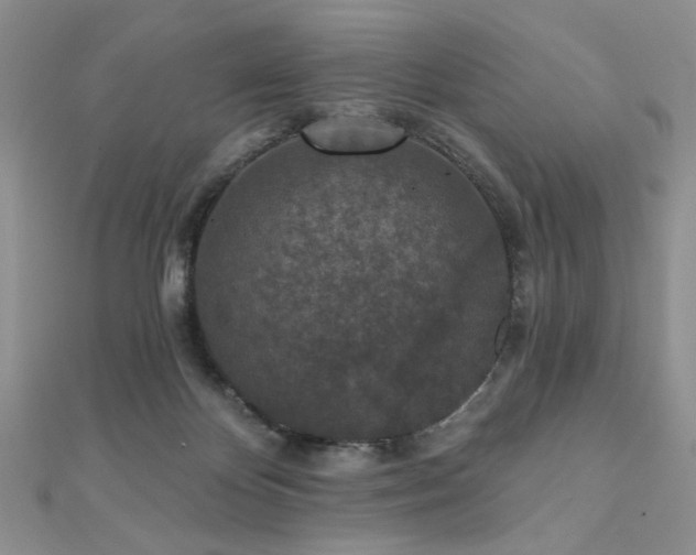 X0000110920124200906181417