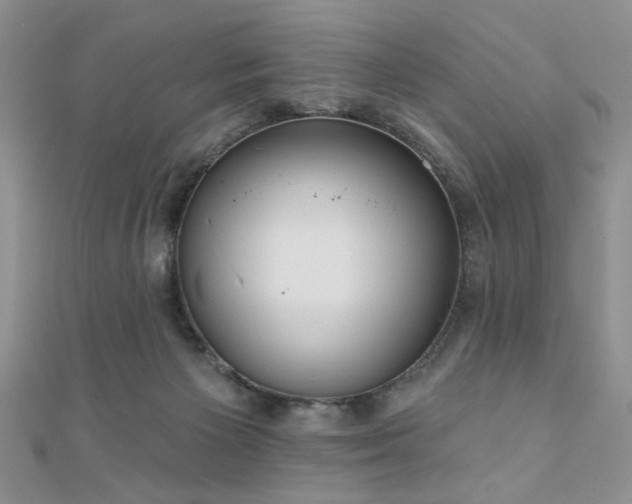 X0000110920125200906181417