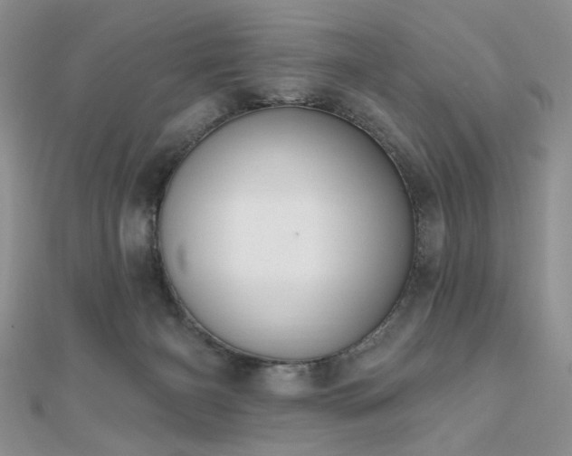 X0000110920126200906181417