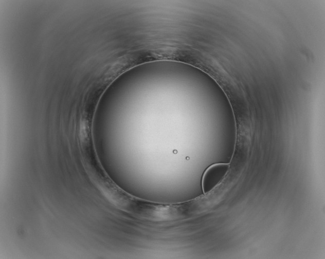 X0000110920130200906181416